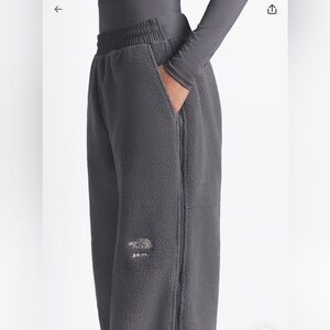 The North Face X SKIMS 1995 Denali Fleece Straight Leg Pant